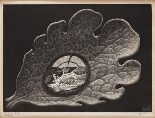 Maurits Cornelis Escher - ”Drop (Dewdrop)”