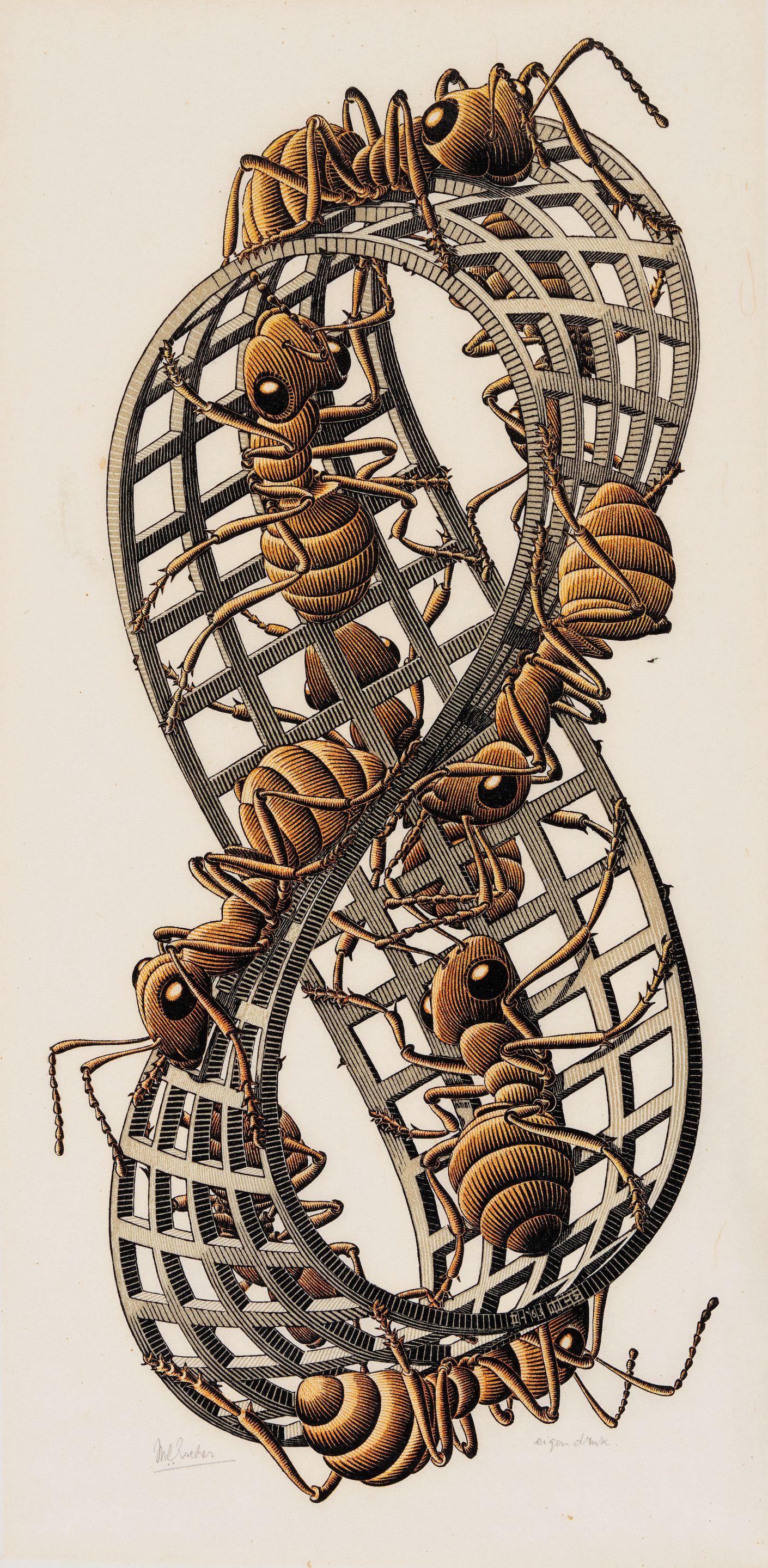 Maurits Cornelis Escher - Mobius Strip II (Red Ants)
