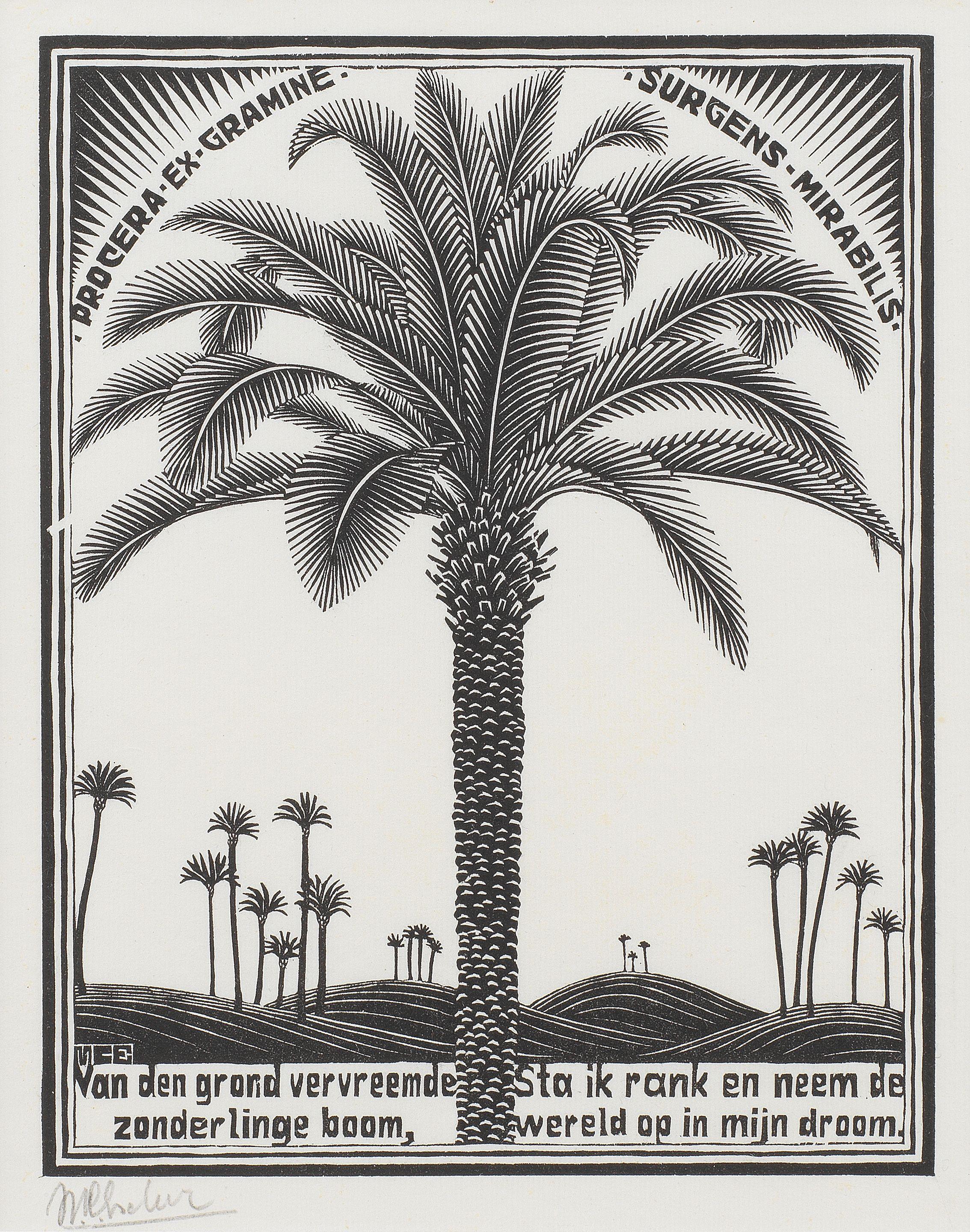 Maurits Cornelis Escher - Palm Tree, from XXIV Emblemata