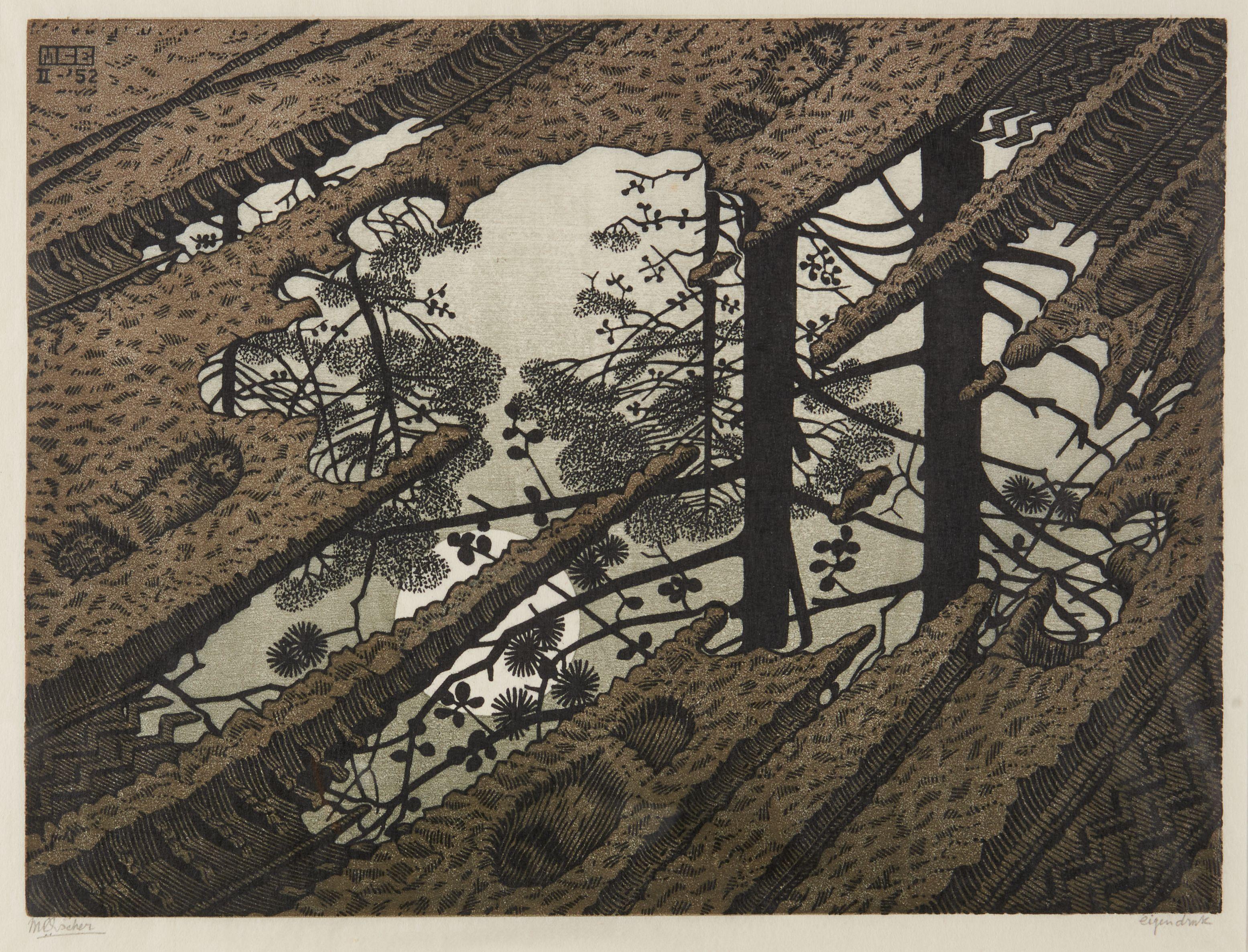 Maurits Cornelis Escher - Puddle