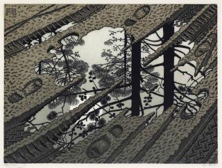 Maurits Cornelis Escher - Puddle
