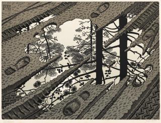 Maurits Cornelis Escher - Puddle