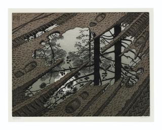 Maurits Cornelis Escher - Puddle
