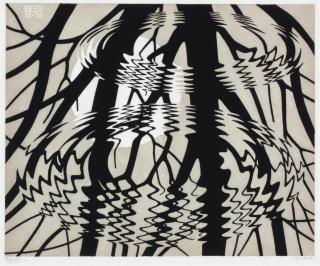 Maurits Cornelis Escher - Rippled Surface (Bool 367)