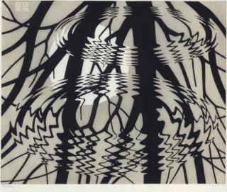 Maurits Cornelis Escher - Rippled Surface