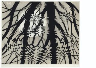 Maurits Cornelis Escher - Rippled Surface