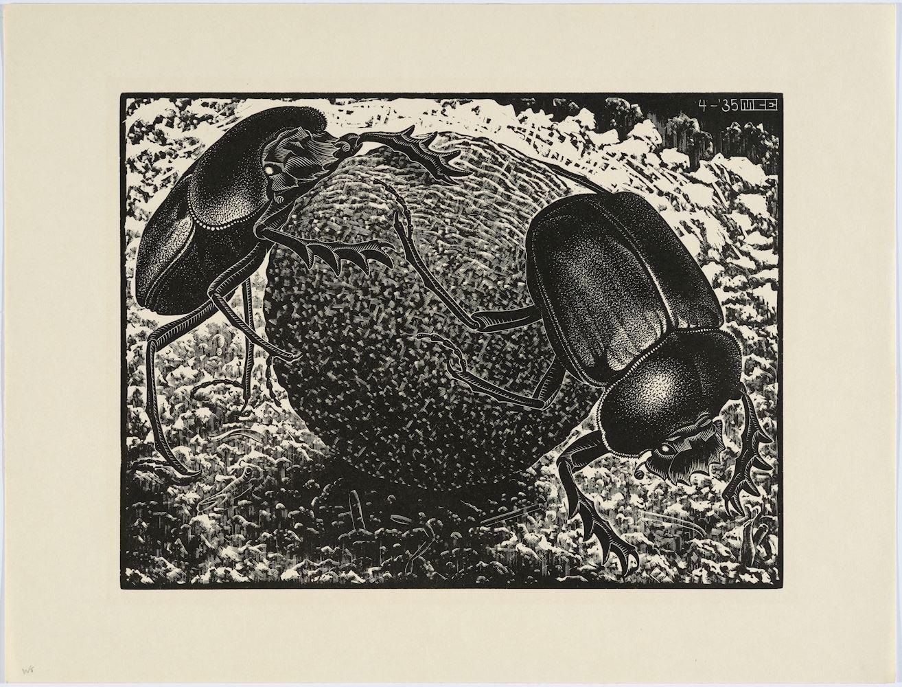 Maurits Cornelis Escher - Scarabs, 1935.