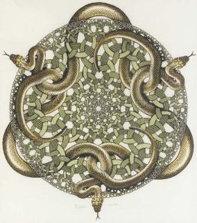 Maurits Cornelis Escher - Snakes (B. 448)