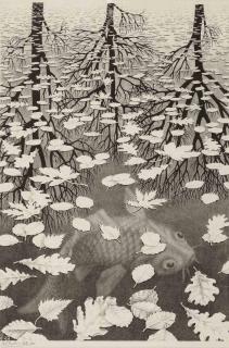 Maurits Cornelis Escher - Three Worlds (B. 405)