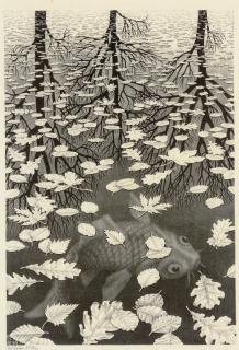 Maurits Cornelis Escher - Three Worlds (B. 405)