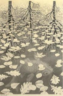 Maurits Cornelis Escher - Three Worlds (Drie Werelden) (Bool 405)