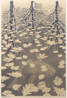 Maurits Cornelis Escher - Three worlds (Drie werelden) (Bool 405)
