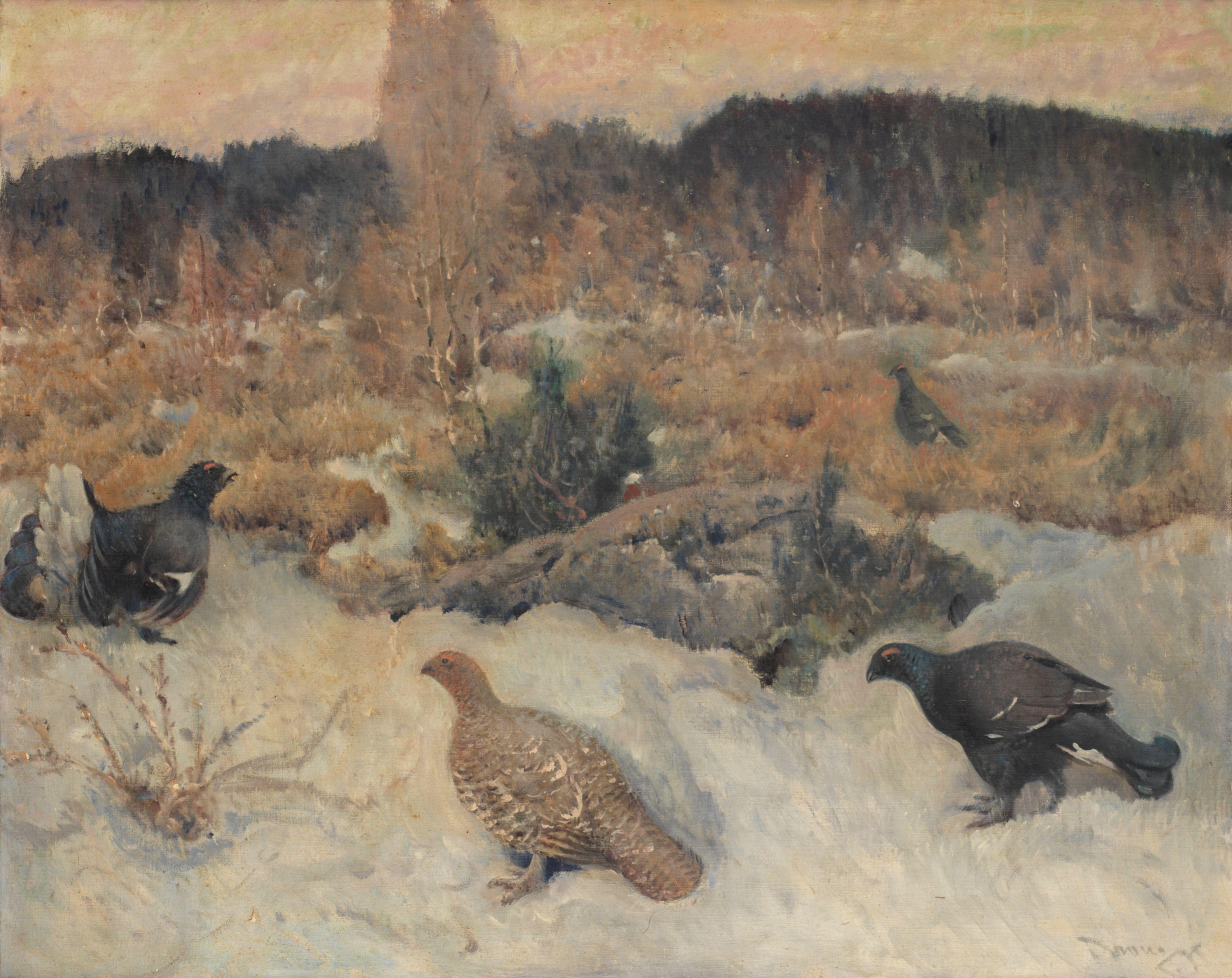 Mauritz Drougge - Black Grouse at the lek; Ptarmigan in autumn each 80.5 x 100.5cm (31 11/16 x 39 9/16in)