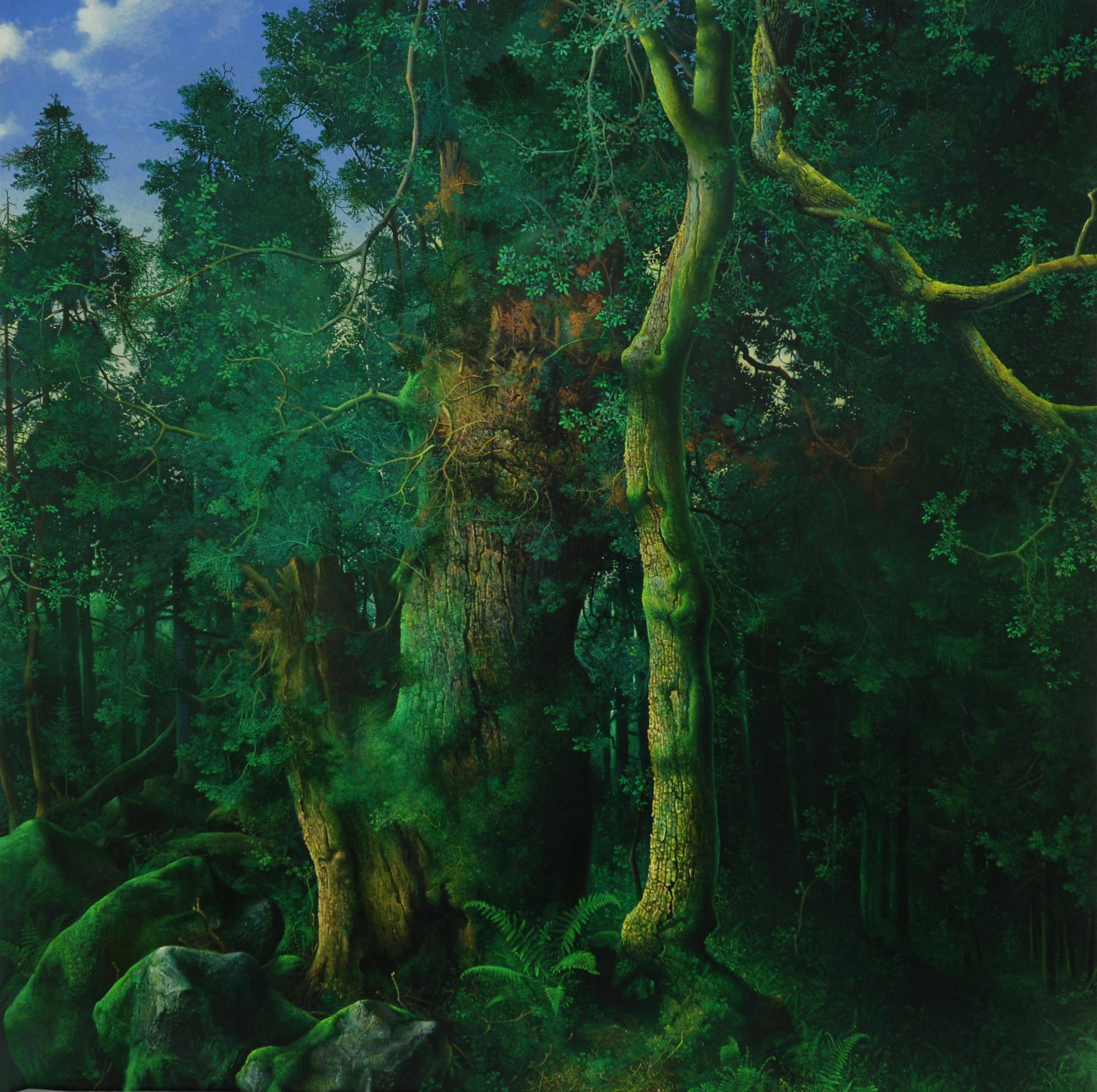 Maurizio Bottoni - Interno di bosco