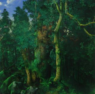 Maurizio Bottoni - Interno di bosco