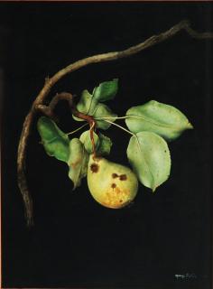 Maurizio Bottoni - Ramo con pera