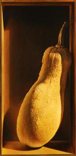 Maurizio Bottoni - Zucca nel cassetto