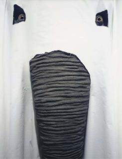 Maurizio Cattelan - Not Afraid of Love