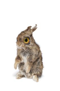 Maurizio Cattelan - Richard