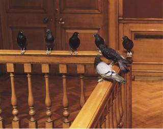 Maurizio Cattelan - Turisti