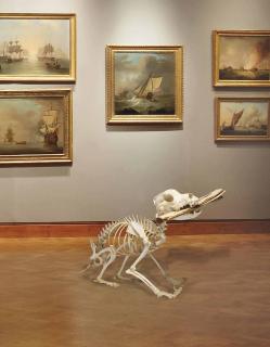 Maurizio Cattelan - Untitled