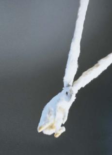 Maurizio Cattelan - Untitled