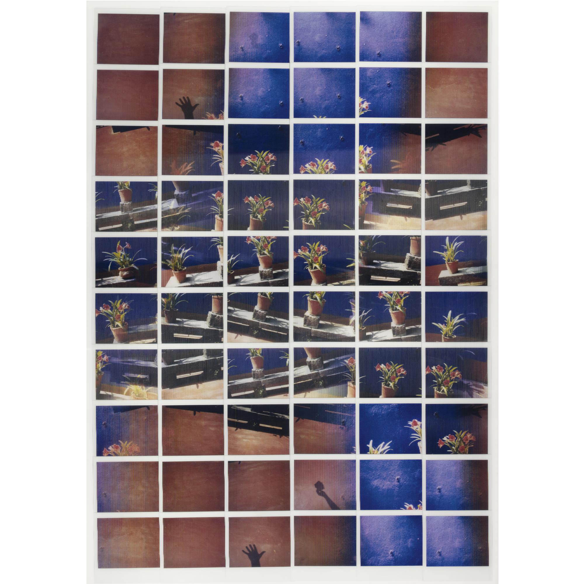 Maurizio Galimberti - Il Giardino Di Frida