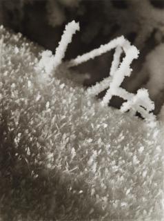 Max Baur - Ohne Titel