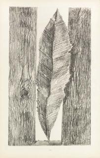 Max Ernst - Hans Arp, Histoire Naturelle, Jeanne Bucher, Paris, 1926 (Brusberg 21; Rainwater 20)