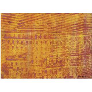 Max Ernst - La Ville Entière