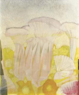 Max Ernst - Nymphéas