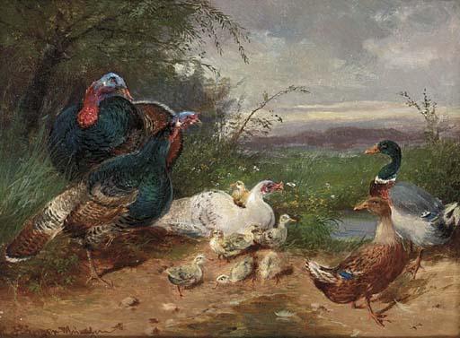 Max Hänger - Ducks and wildfowl by a stream