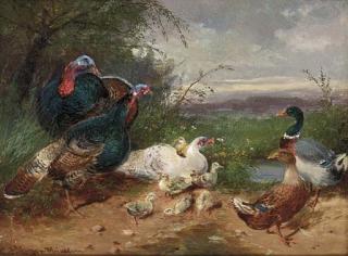 Max Hänger - Ducks and wildfowl by a stream
