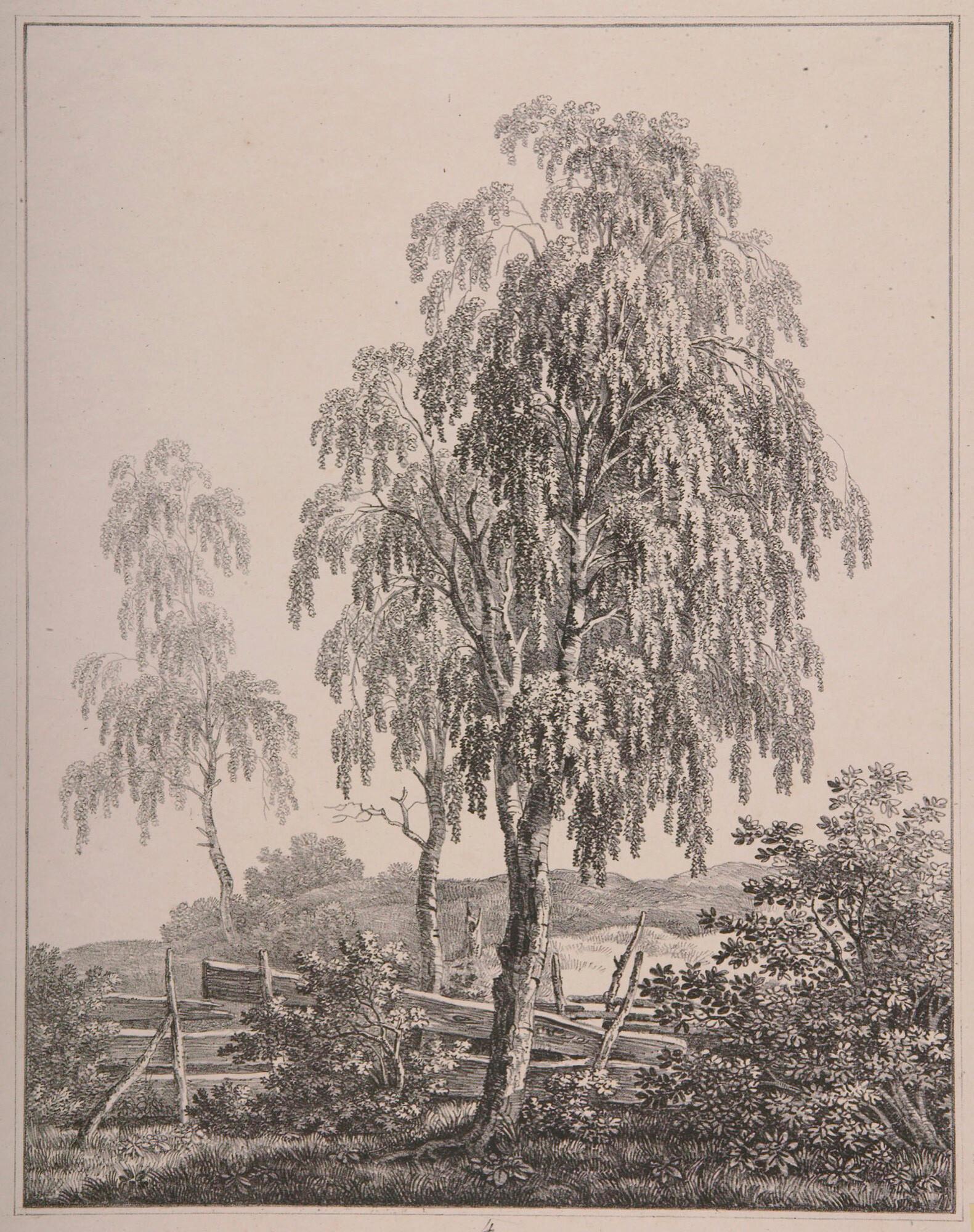 Max Joseph Wagenbauer - 6 Bll. aus der Folge von 12 Bll.: Baumstudien für angehende