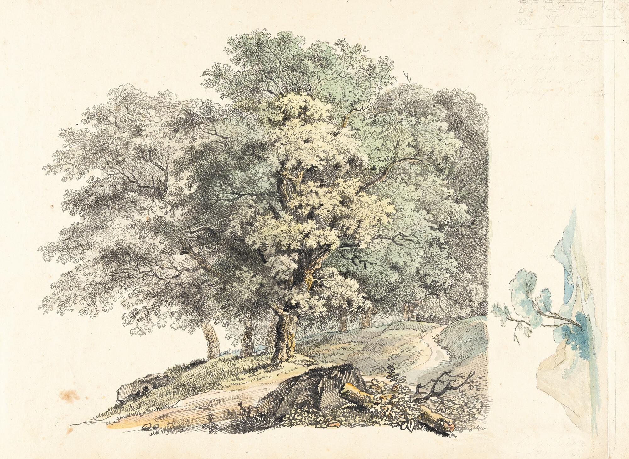 Max Joseph Wagenbauer - Eichenwäldchen mit kleiner Landschaftsstudie