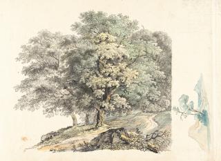 Max Joseph Wagenbauer - Eichenwäldchen mit kleiner Landschaftsstudie