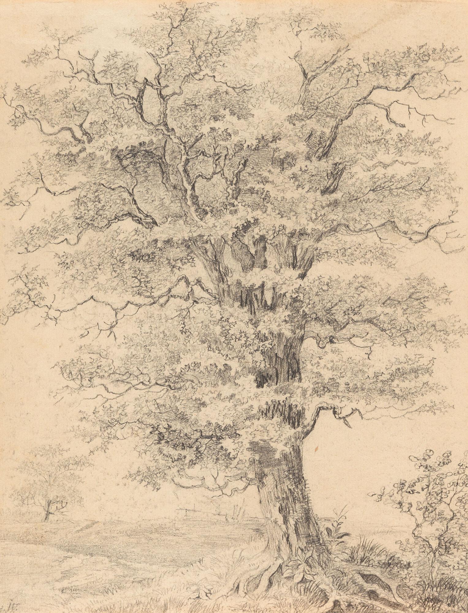 Max Joseph Wagenbauer - Landschaft mit einer alten Eiche.