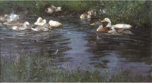 Max Rudolf Schramm-Zittau - A peaceful swim