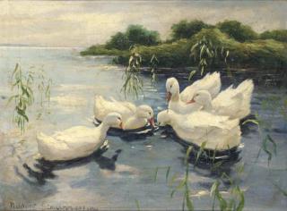 Max Rudolf Schramm-Zittau - Ducks On A Stream