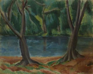 Max Weber - The Lake
