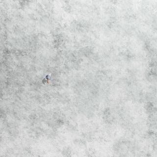 Maya Gold - Ekershtein