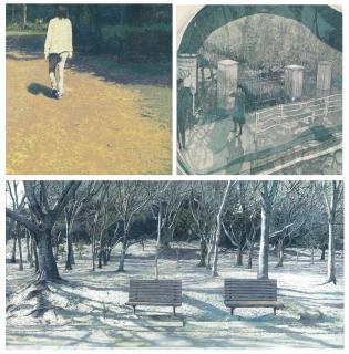 Maya Ishii - Promise; Pointing in Pointing Out; & The Sight