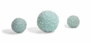 Maya Lin - Asteroid 325