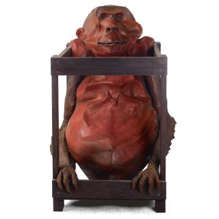 Mehmet Guleryuz - Crated Monkey