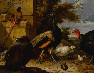 Melchior De Hondecoeter - A Peacock, Pea-Hen, Pheasant, Turkey, Cockerel And Chick By A Wall, A Landscape Beyond