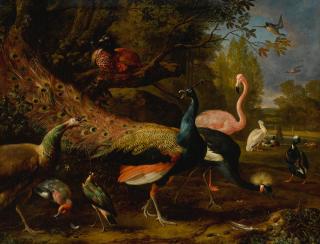 Melchior De Hondecoeter - Exotic Fowl, Including A Peacock And Peahen, Flamingo, African Crane, Pheasant, And Lapwing, Shoveller, Pelican And Tufted Duck