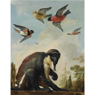 Melchior d\'Hondecoeter - A Diana Monkey On A Chain In A Landscape With Four Colourful Birds In The Sky