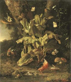 Melchior d\'Hondecoeter - A forest floor still life with a blue tit, a chaffinch, a kingfisher, a large tortoiseshell butterfly, a painted lady and a red admiral.