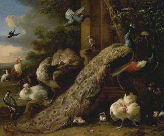 Melchior d\'Hondecoeter - A Peacock And Pea Hen With A Crane, Chickens And Other Birds In A Landscape