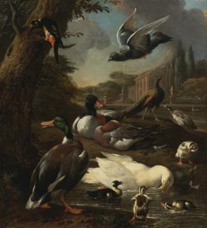 Melchior D\'Hondecoeter - A Peacock, Pigeon, Ducks And Other Birds In A Garden Setting